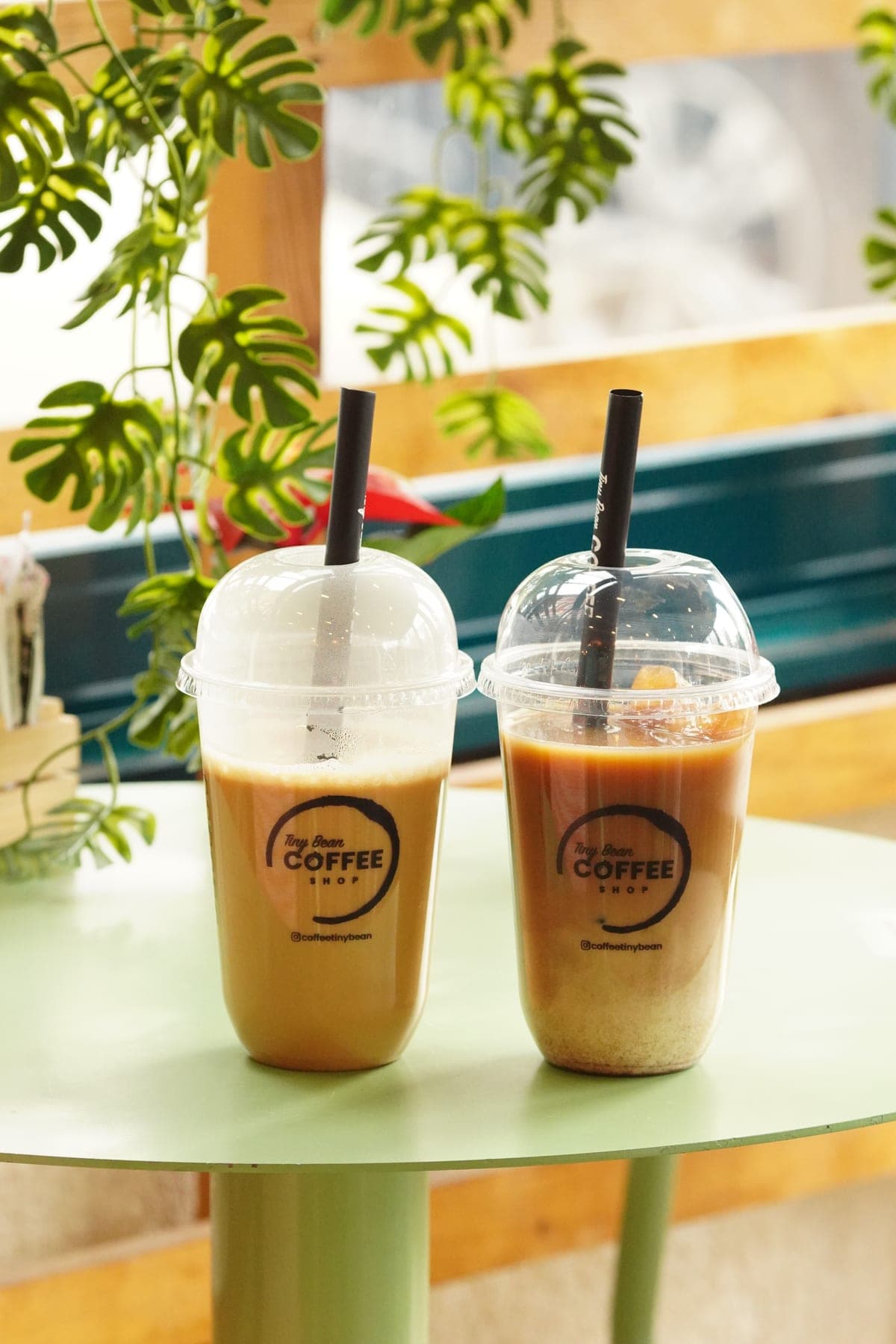 İki iced latte, yeşil bitkiler arasında